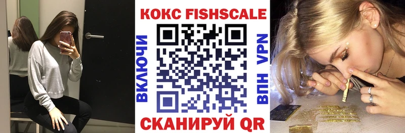 Кокаин FishScale  цены   Кондопога 