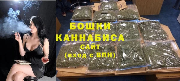 индика Аркадак