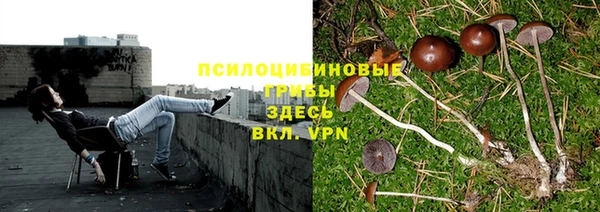 а пвп мука Баксан