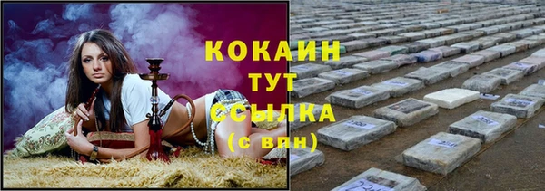 гашик Алексин