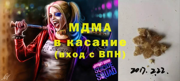 индика Аркадак