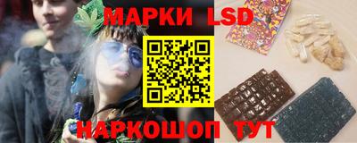 индика Брянск