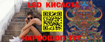 индика Брянск