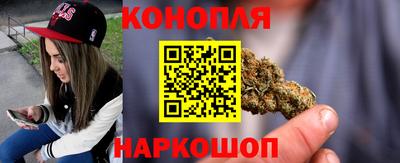 индика Брянск