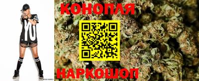 индика Брянск