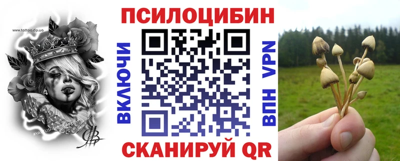 ОМГ ОМГ tor  Кондопога  Псилоцибиновые грибы Psilocybe 