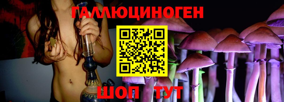 Галлюциногенные грибы Psilocybine cubensis Кондопога