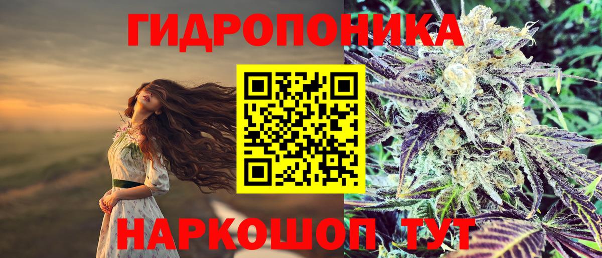 Канабис конопля Кондопога